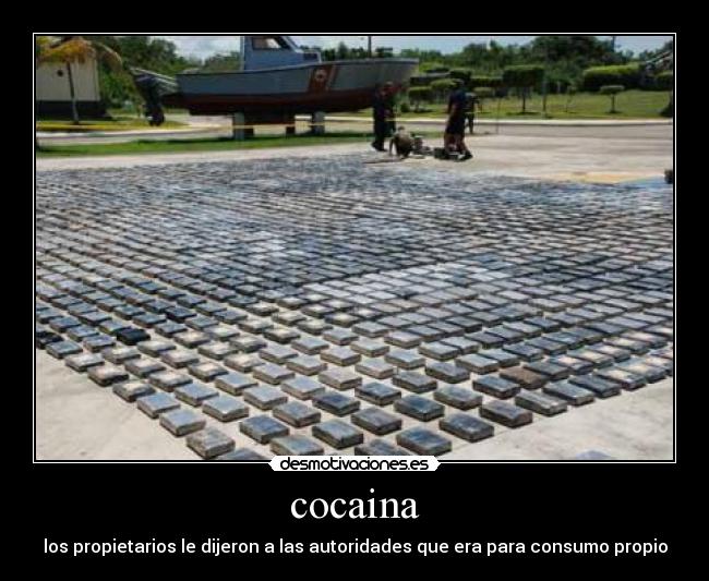 cocaina - los propietarios le dijeron a las autoridades que era para consumo propio