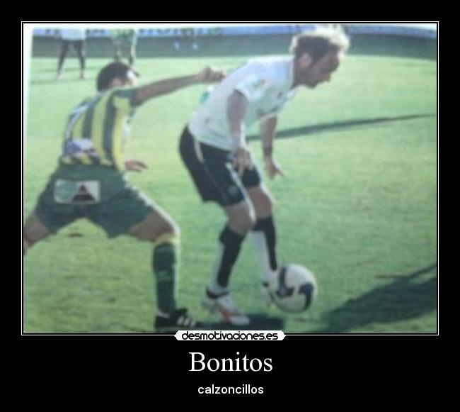Bonitos - 