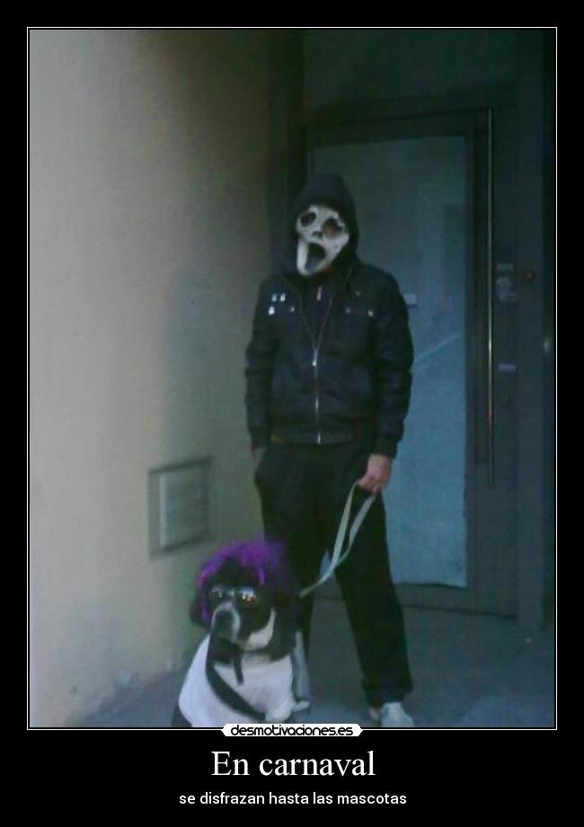 En carnaval - se disfrazan hasta las mascotas