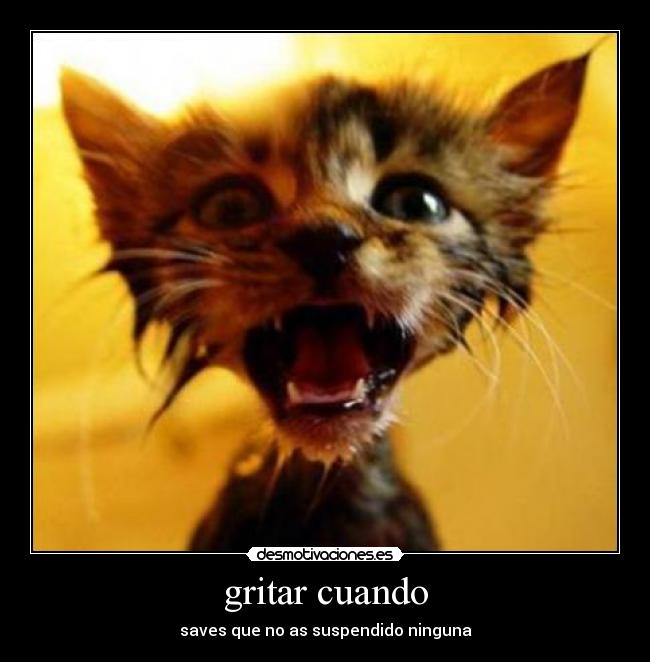 gritar cuando -