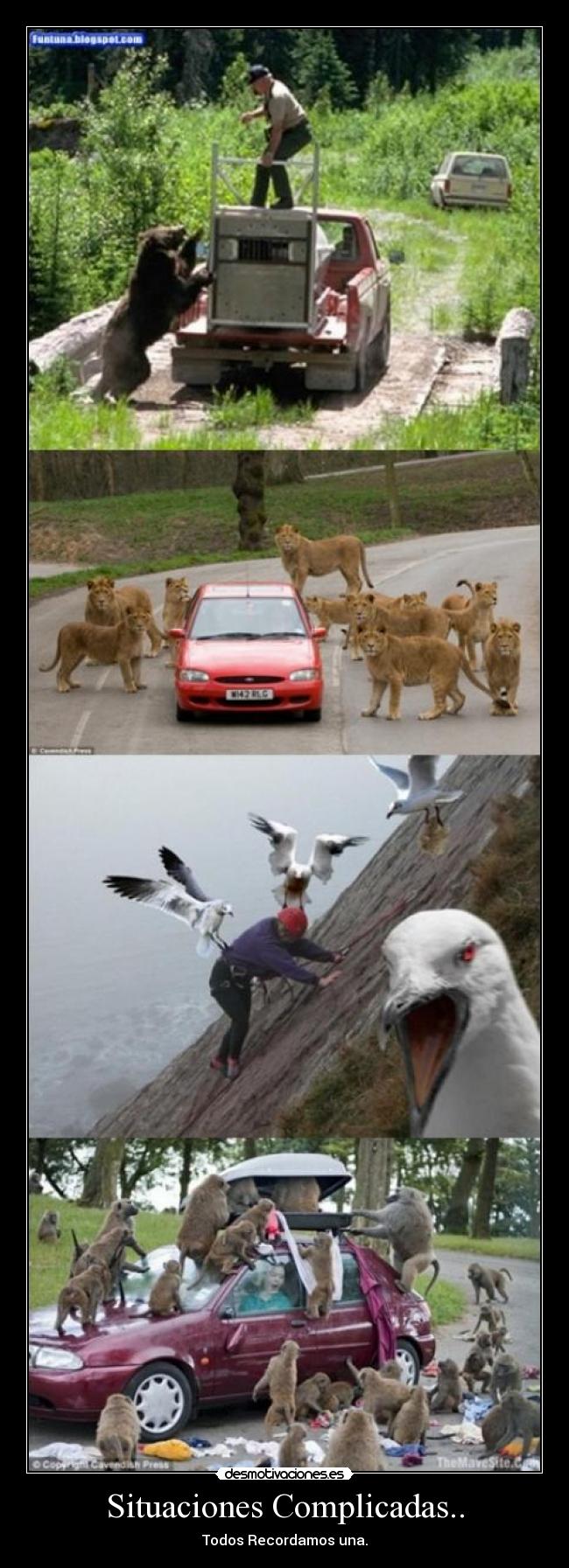 Situaciones Complicadas.. -