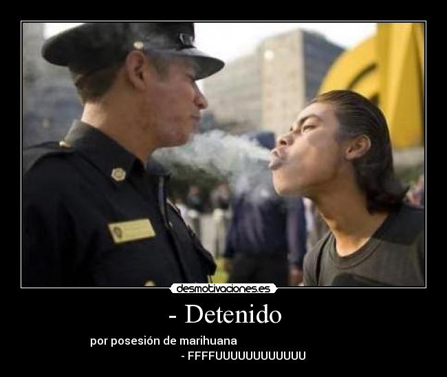 carteles detener policia posesion marihuana revelde desmotivaciones