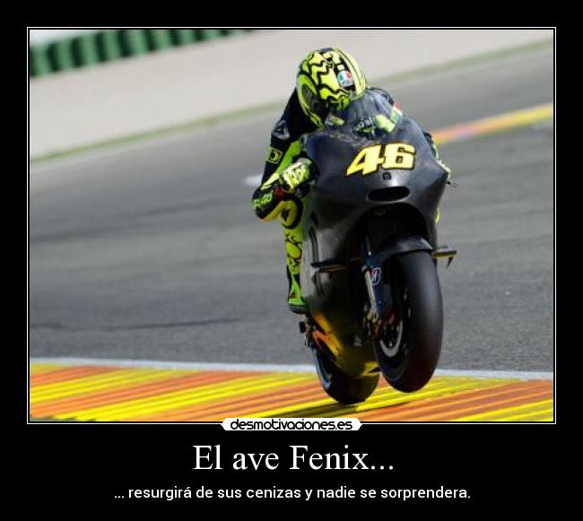 El ave Fenix... - 