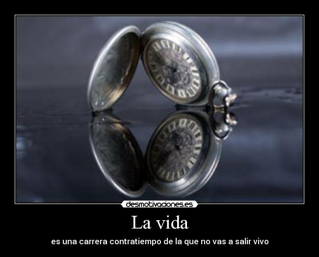 La vida -