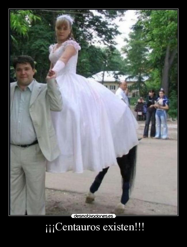 ¡¡¡Centauros existen!!! -