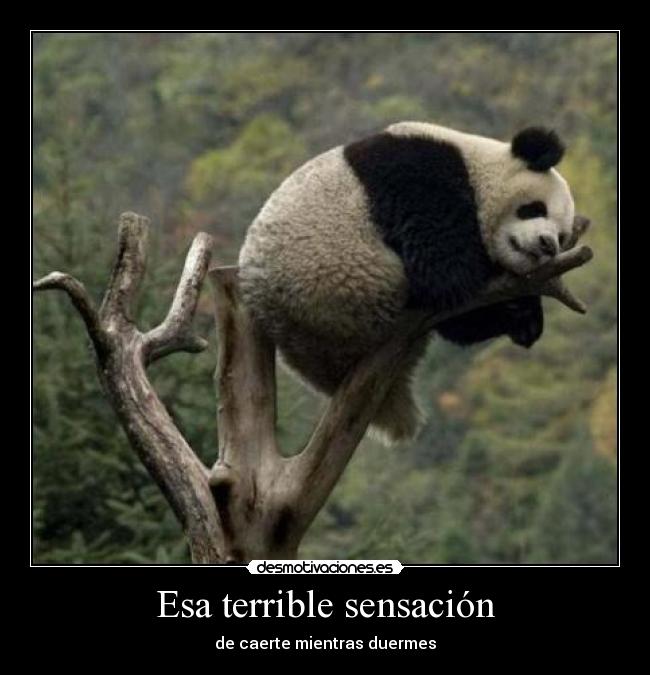 Esa terrible sensación - de caerte mientras duermes