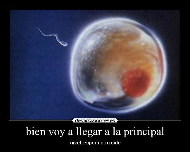 bien voy a llegar a la principal - nivel: espermatozoide