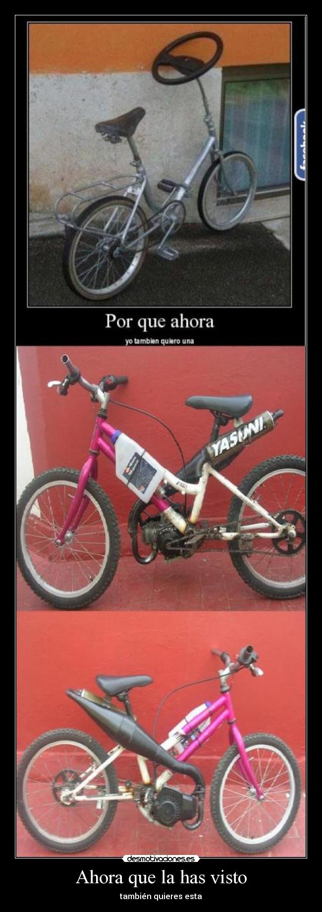 Ahora que la has visto - también quieres esta