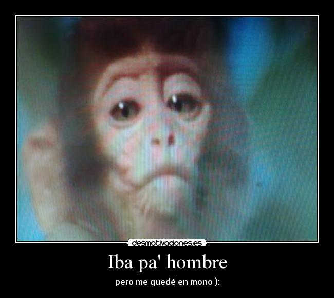 carteles mono fracasado desmotivaciones