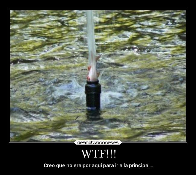 carteles pain 666 desmotivaciones