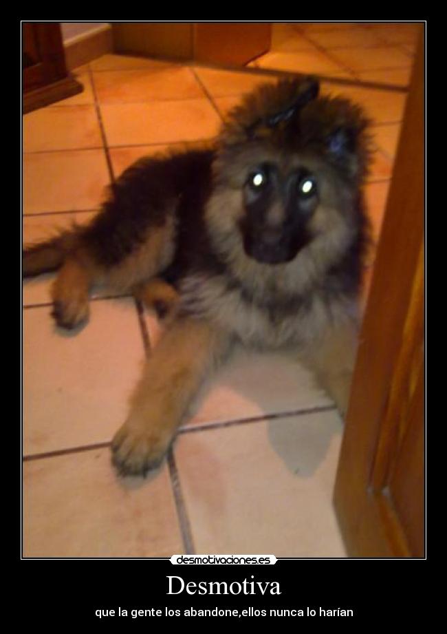 Desmotiva - que la gente los abandone,ellos nunca lo harían