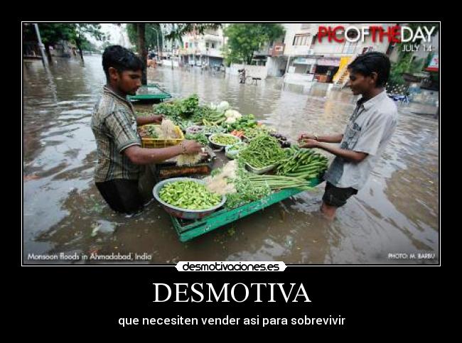 DESMOTIVA - que necesiten vender asi para sobrevivir