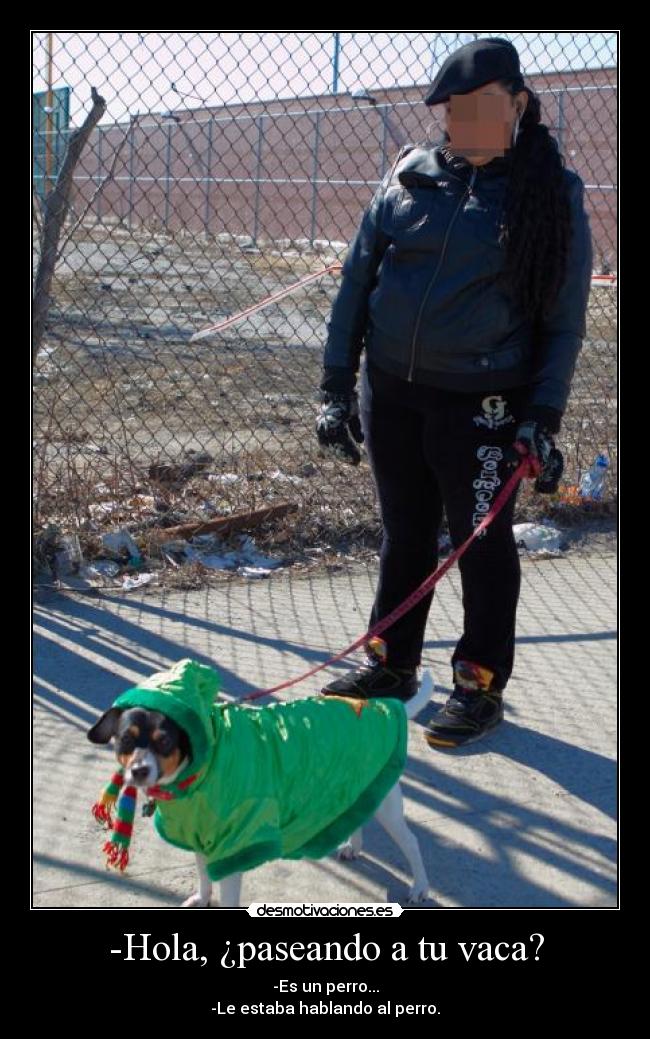 -Hola, ¿paseando a tu vaca? -