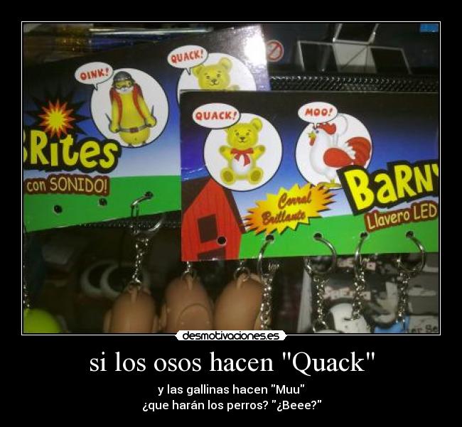si los osos hacen Quack -