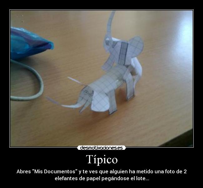 Típico - Abres Mis Documentos y te ves que alguien ha metido una foto de 2
elefantes de papel pegándose el lote...