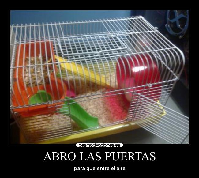 ABRO LAS PUERTAS - 