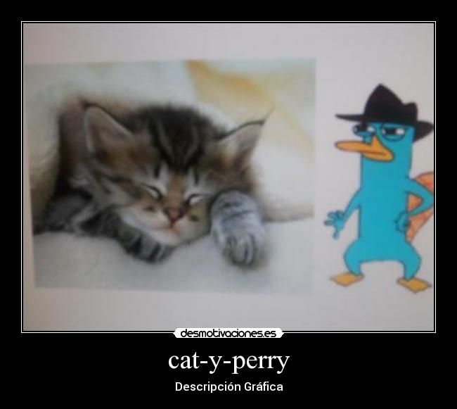 cat-y-perry - Descripción Gráfica