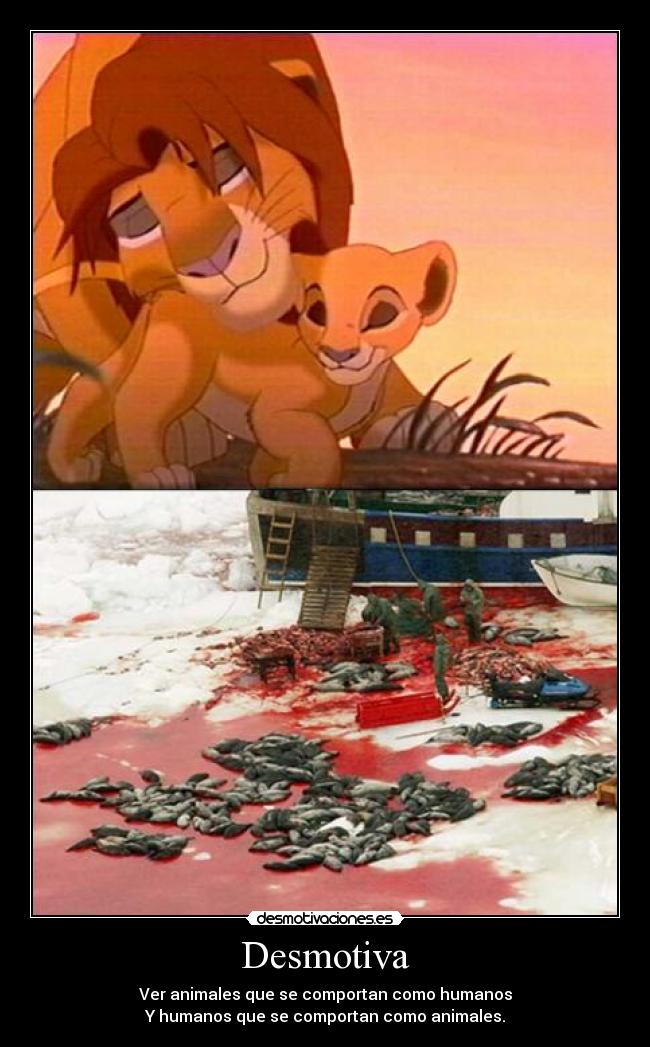 Desmotiva - Ver animales que se comportan como humanos
Y humanos que se comportan como animales.
