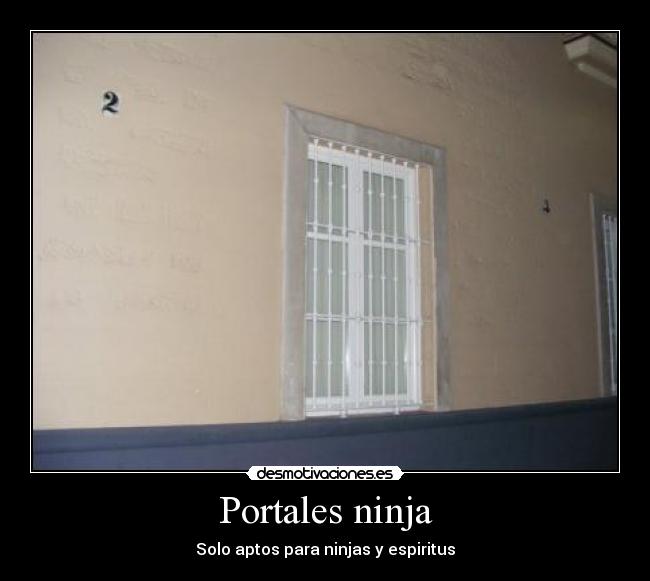 Portales ninja -