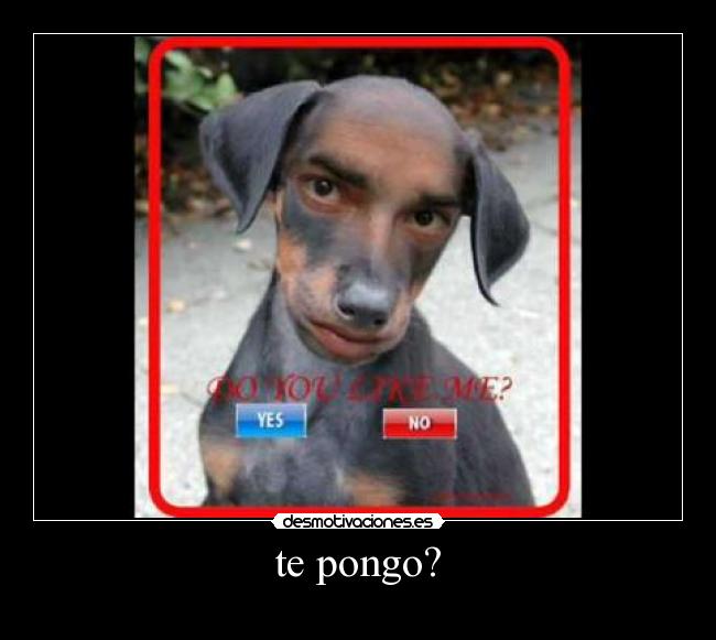 te pongo? -