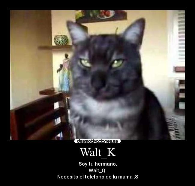 Walt_K -