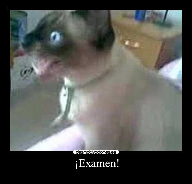 ¡Examen! -