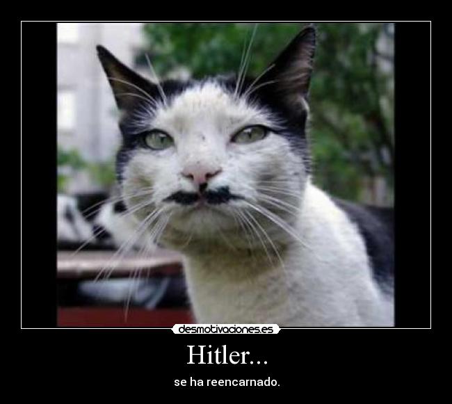 Hitler... - 