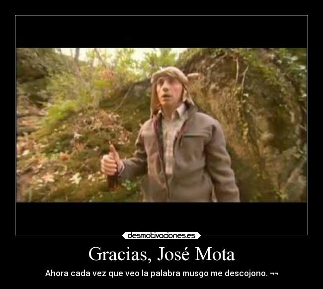 Gracias, José Mota - Ahora cada vez que veo la palabra musgo me descojono. ¬¬