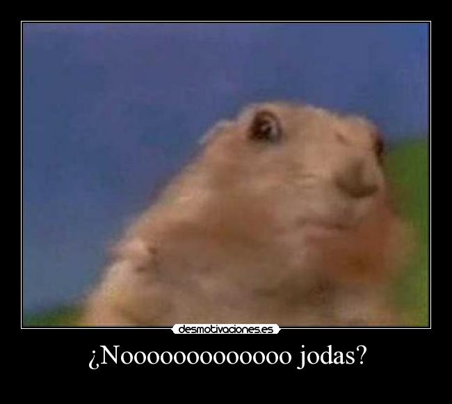¿Nooooooooooooo jodas? -