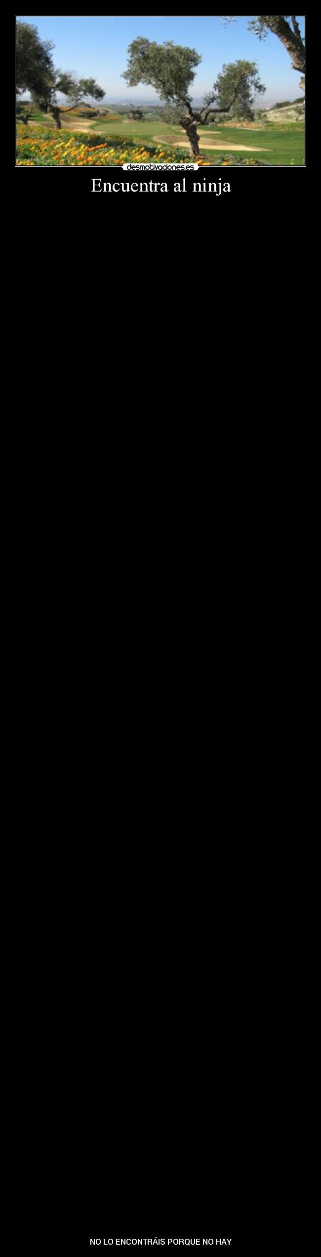 Encuentra al ninja -