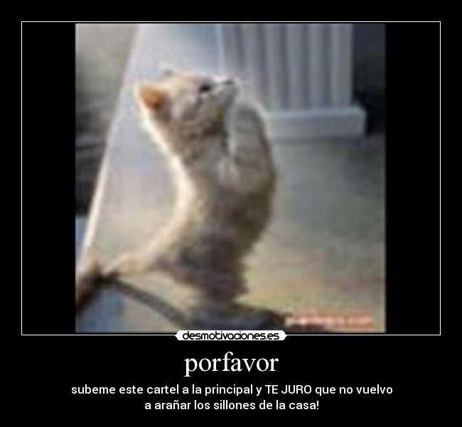 carteles porfavor desmotivaciones