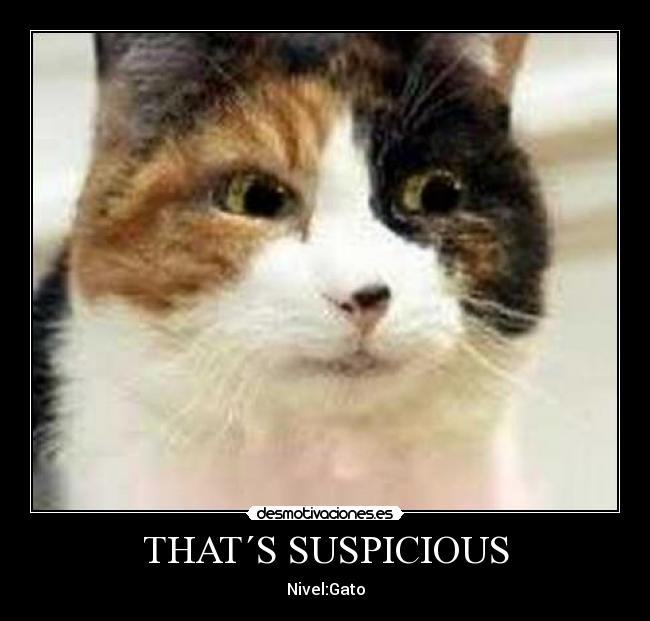 THAT´S SUSPICIOUS - Nivel:Gato