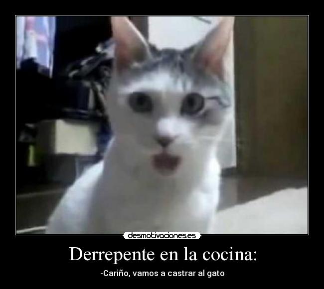 Derrepente en la cocina: -