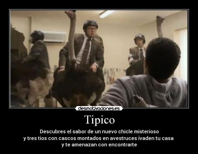 Tipico - 