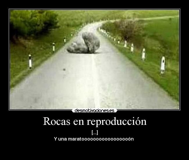 Rocas en reproducción - 