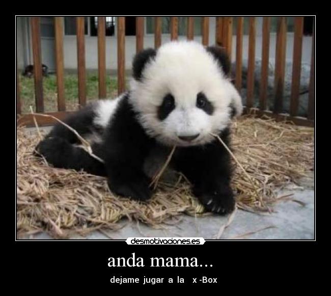 anda mama... - dejame jugar a la x -Box