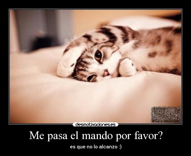 Me pasa el mando por favor? - es que no lo alcanzo :)