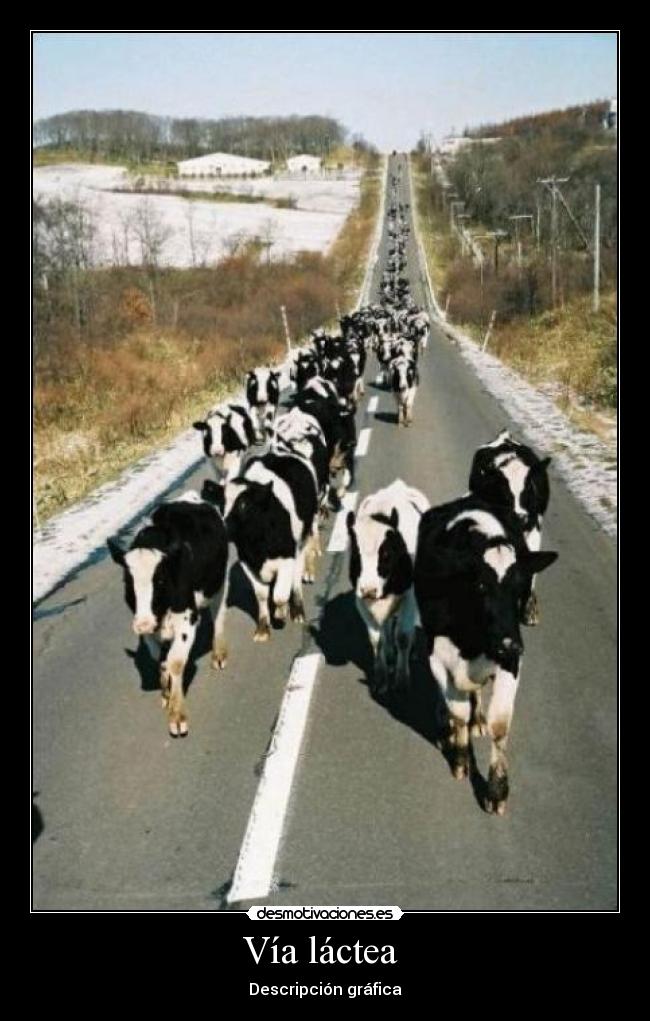 Vía láctea - Descripción gráfica