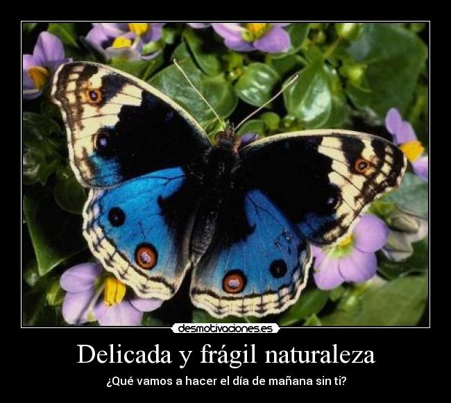 Delicada y frágil naturaleza - ¿Qué vamos a hacer el día de mañana sin ti?
