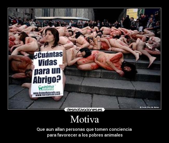 Motiva - Que aun allan personas que tomen conciencia
para favorecer a los pobres animales