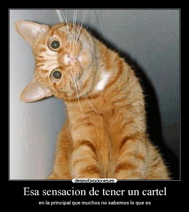 Esa sensacion de tener un cartel - 