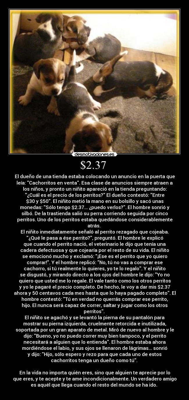 $2.37 - El dueño de una tienda estaba colocando un anuncio en la puerta que
leía: Cachorritos en venta. Esa clase de anuncios siempre atraen a
los niños, y pronto un niñito apareció en la tienda preguntando:
¿Cuál es el precio de los perritos? El dueño contestó: Entre
$30 y $50. El niñito metió la mano en su bolsillo y sacó unas
monedas: Sólo tengo $2.37... ¿puedo verlos?. El hombre sonrió y
silbó. De la trastienda salió su perra corriendo seguida por cinco
perritos. Uno de los perritos estaba quedándose considerablemente
atrás.
El niñito inmediatamente señaló al perrito rezagado que cojeaba.
¿Qué le pasa a ése perrito?, preguntó. El hombre le explicó
que cuando el perrito nació, el veterinario le dijo que tenía una
cadera defectuosa y que cojearía por el resto de su vida. El niñito
se emocionó mucho y exclamó: ¡Ese es el perrito que yo quiero
comprar!. Y el hombre replicó: No, tú no vas a comprar ese
cachorro, si tú realmente lo quieres, yo te lo regalo. Y el niñito
se disgustó, y mirando directo a los ojos del hombre le dijo: Yo no
quiero que usted me lo regale. El vale tanto como los otros perritos
y yo le pagaré el precio completo. De hecho, le voy a dar mis $2.37
ahora y 50 centavos cada mes hasta que lo haya pagado completo. El
hombre contestó: Tú en verdad no querrás comprar ese perrito,
hijo. El nunca será capaz de correr, saltar y jugar como los otros
perritos.
El niñito se agachó y se levantó la pierna de su pantalón para
mostrar su pierna izquierda, cruelmente retorcida e inutilizada,
soportada por un gran aparato de metal. Miró de nuevo al hombre y le
dijo: Bueno, yo no puedo correr muy bien tampoco, y el perrito
necesitará a alguien que lo entienda. El hombre estaba ahora
mordiéndose el labio, y sus ojos se llenaron de lágrimas... sonrió
y dijo: Hijo, sólo espero y rezo para que cada uno de estos
cachorritos tenga un dueño como tú.
En la vida no importa quién eres, sino que alguien te aprecie por lo
que eres, y te acepte y te ame incondicionalmente. Un verdadero amigo
es aquél que llega cuando el resto del mundo se ha ido.