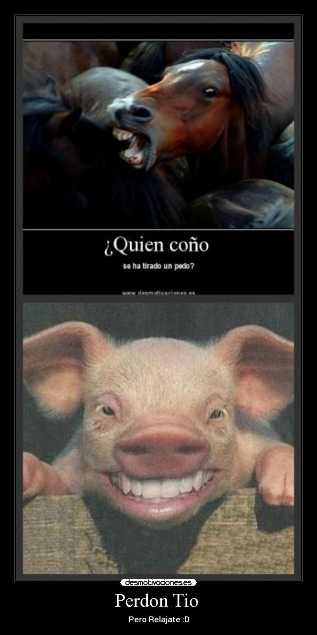 Perdon Tio  - 