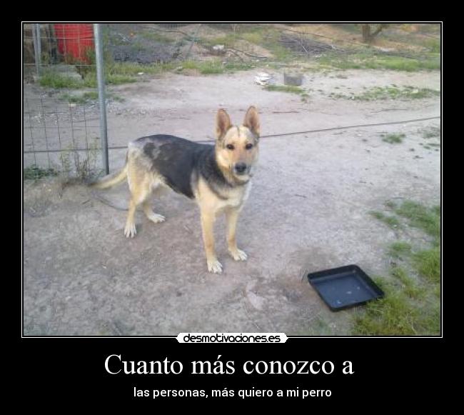 Cuanto más conozco a -