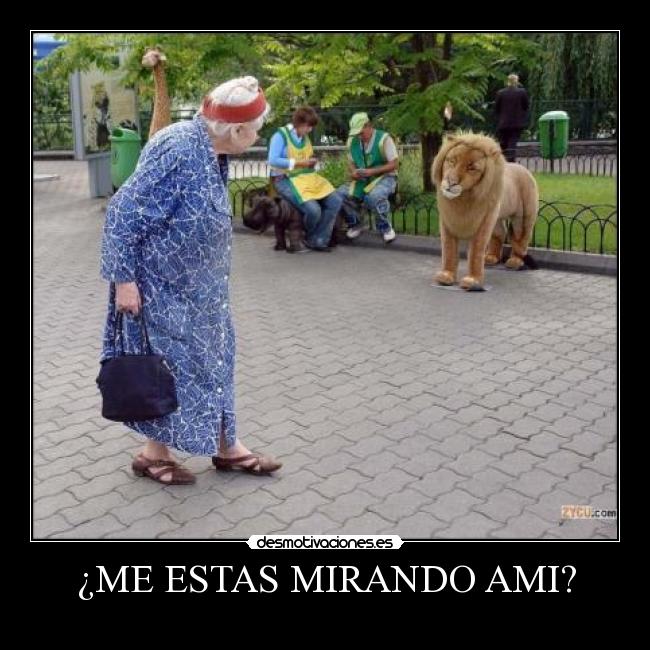 ¿ME ESTAS MIRANDO AMI? -