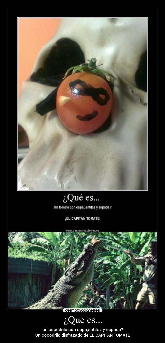 ¿Que es... - un cocodrilo con capa,antifaz y espada?
Un cocodrilo disfrazado de EL CAPITAN TOMATE