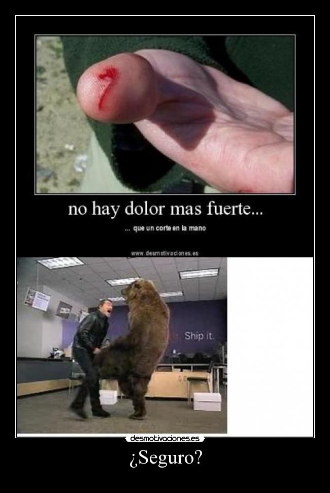 ¿Seguro? -