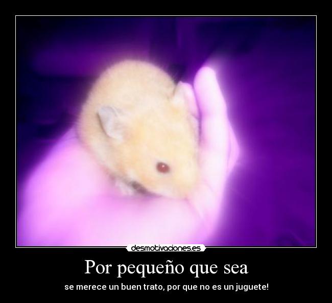 Por pequeño que sea - se merece un buen trato, por que no es un juguete!