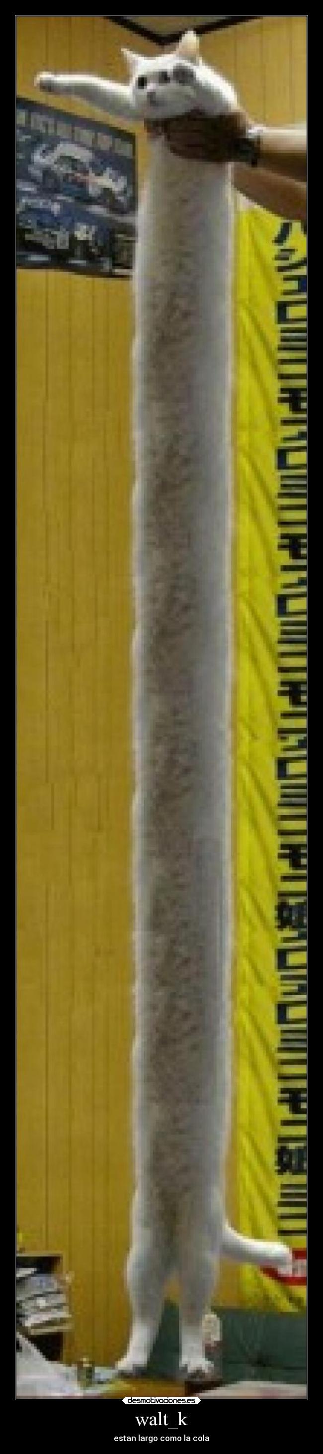 walt_k - estan largo como la cola