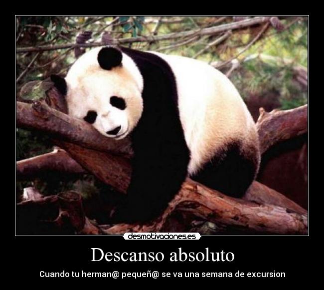 Descanso absoluto - Cuando tu herman@ pequeñ@ se va una semana de excursion
